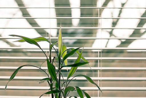 How to Avoid Common Mistakes When Buying Blinds